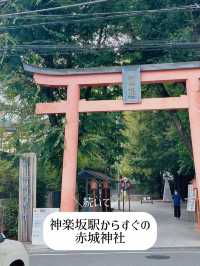 【神楽坂🎍】縁結びを願う❤️初詣スポットを巡るプラン⛩️✨