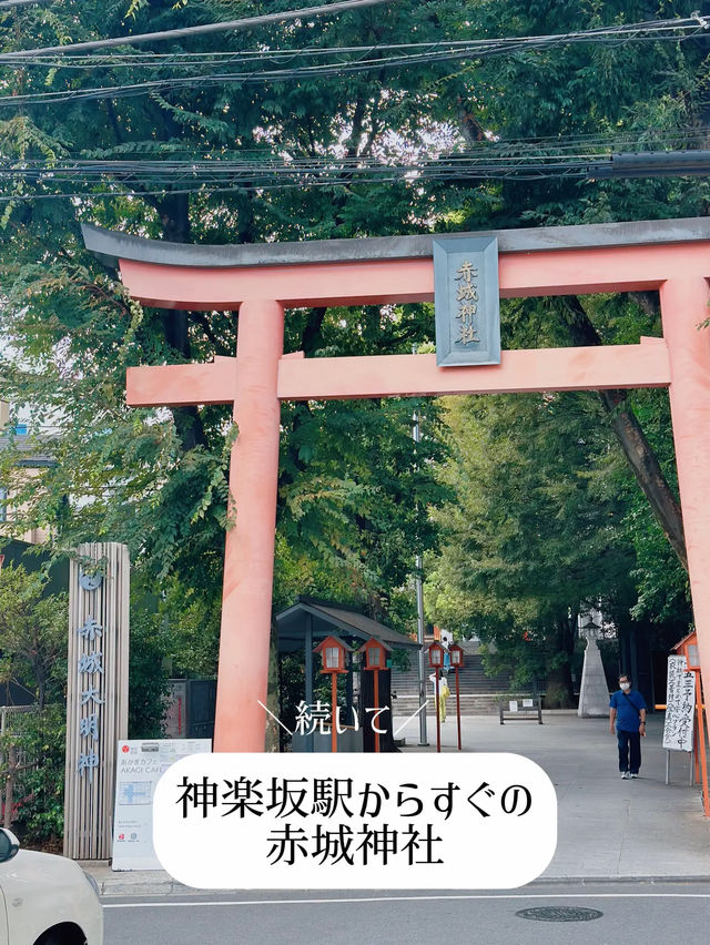 【神楽坂🎍】縁結びを願う❤️初詣スポットを巡るプラン⛩️✨