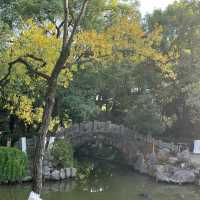 「2024年春天好去處：人民公園花海，歷史底蘊與園林風光」