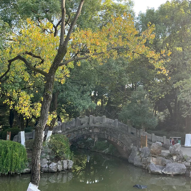 「2024年春天好去處：人民公園花海，歷史底蘊與園林風光」