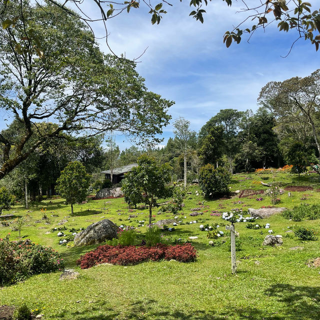 Escape to Spring Garden Kundasang 
