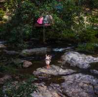 OASIS Forest Garden โฮมสเตย์ 
