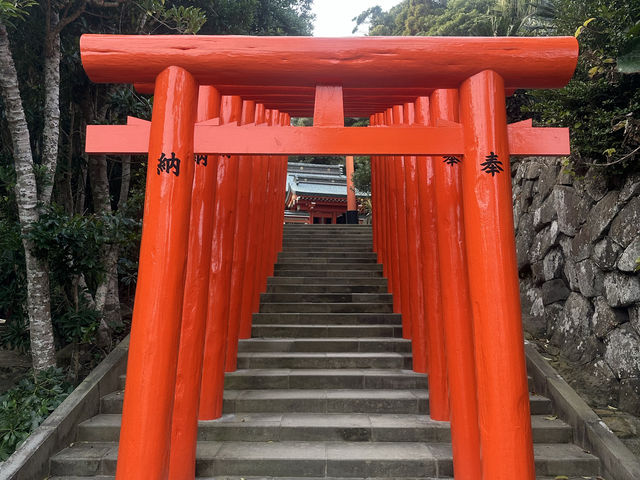 「宮崎鵜戶神宮：懸崖景色、祈福懷孕，自駕40公里45分鐘抵達」