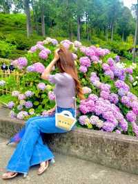 【京都/人気スポット】２万株の紫陽花！ハートの紫陽花❤️を探せ！京都、1.2を荒らそう激混みスポット