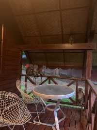 Private Chalet in Taman Negara Pahang, MY