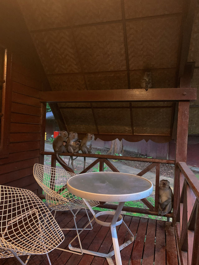 Private Chalet in Taman Negara Pahang, MY