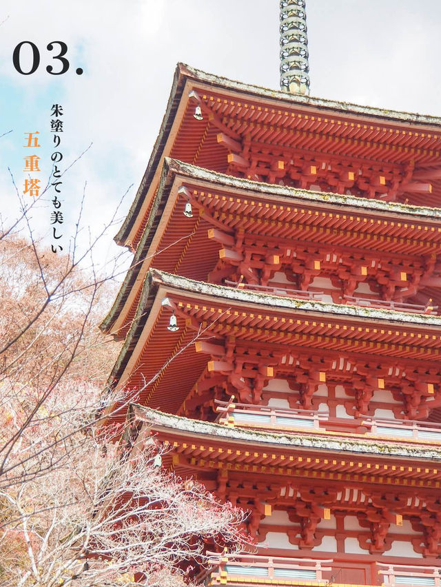 奈良に美し過ぎる『お寺』があるって知ってた⁉️