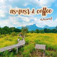 คาเฟ่ลพบุรี ทุ่งดอกไม้ วิวภูเขา สวยมาก