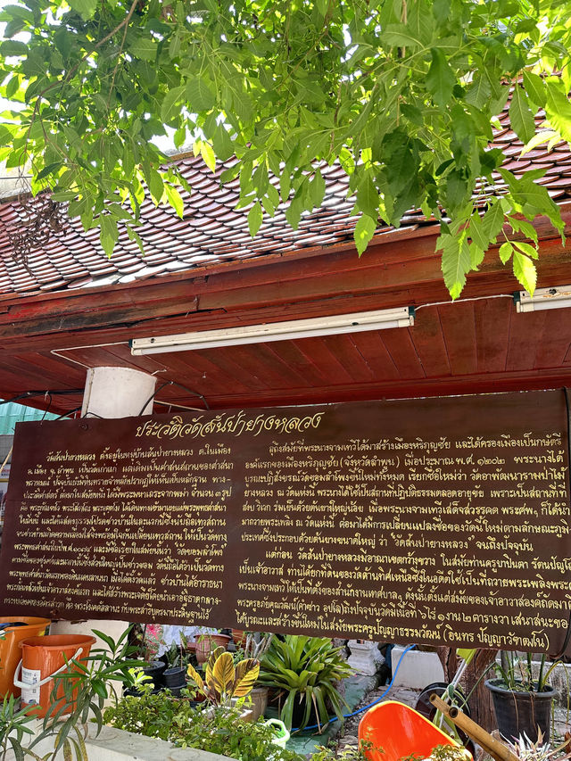 📍“วัดสันป่ายางหลวง” 1ใน10วิหารสวยในไทย