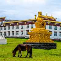 Muyada Temple in Daocheng: Serenity Amidst Nature