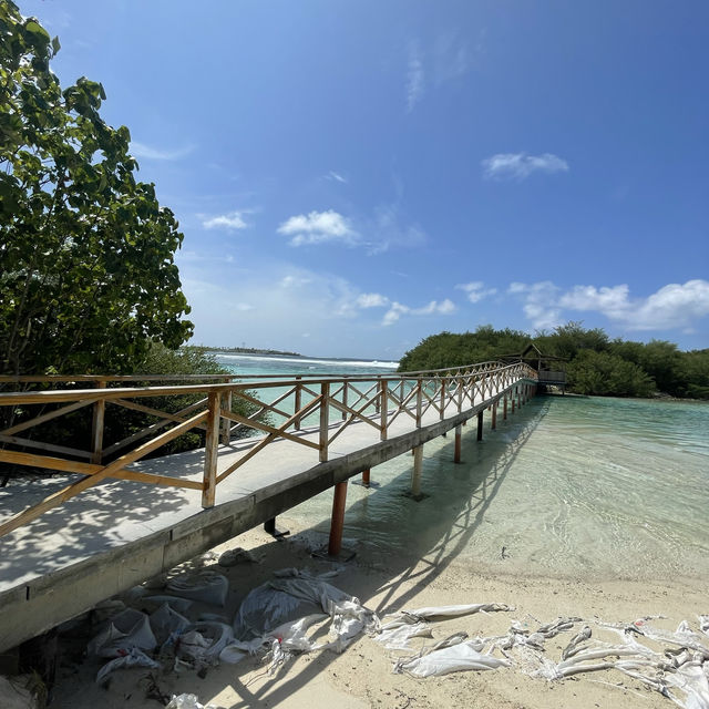 Have I arrived in paradise?