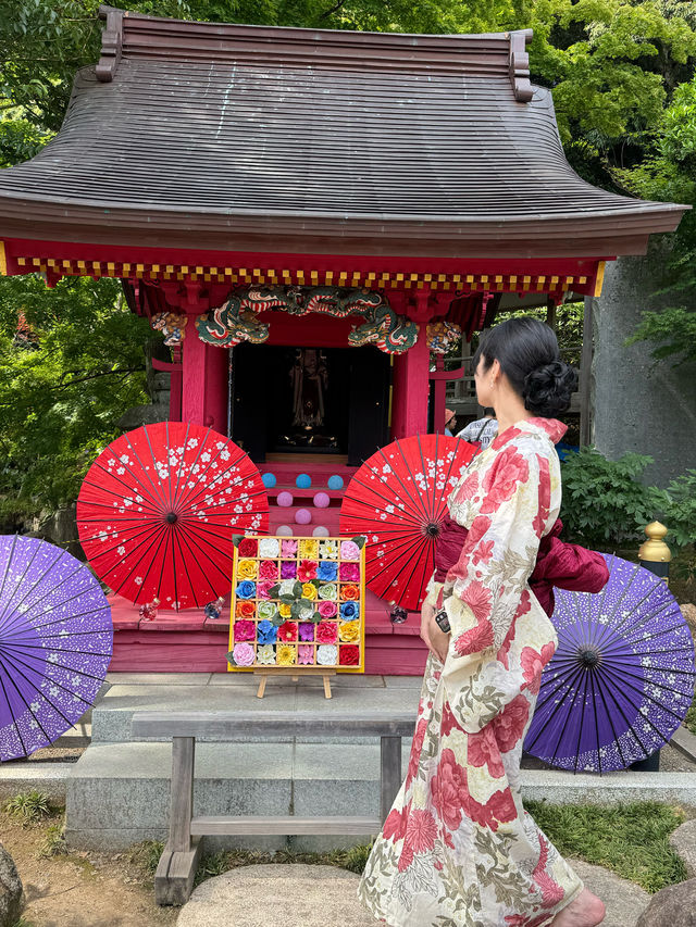 〜茨城県〜7/7まで！絶景すぎるあじさい池✨