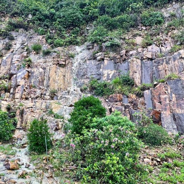 A Must-Visit Hidden Gem in Hong Kong😃