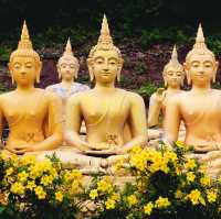 วัดพูสะเหล้า