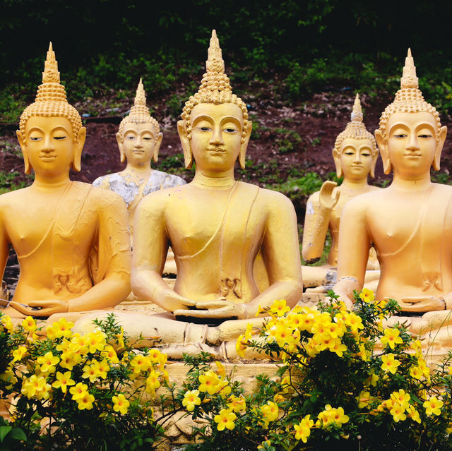 วัดพูสะเหล้า