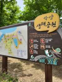 가을이 기다려지는 함안 악양생태공원