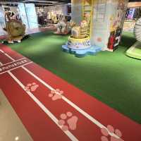Sports 'CATnival'夏日貓運會