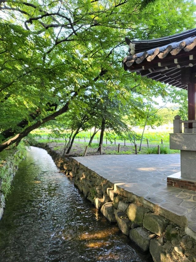 여름꽃놀이여행으로 딱인 천년숲 상림공원