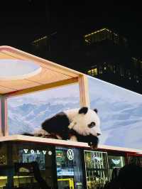 🇨🇳A must visit in Chunxi Road, Chengdu 