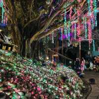  大古山登山步道～絢麗繽紛派對🎉