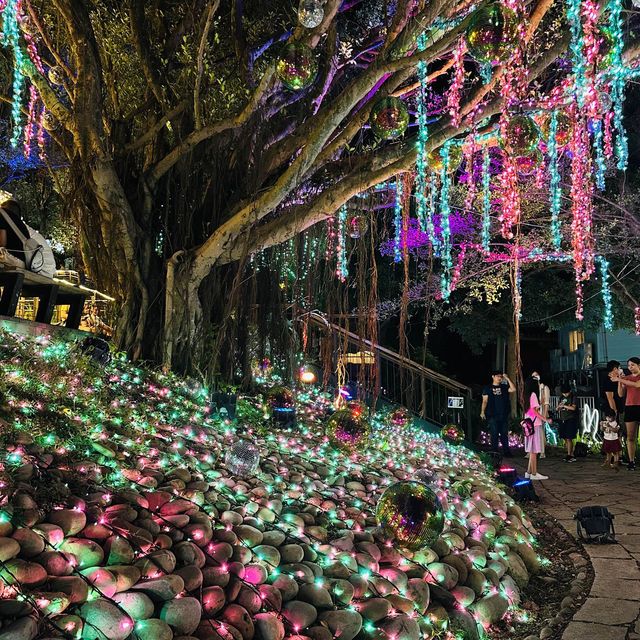  大古山登山步道～絢麗繽紛派對🎉