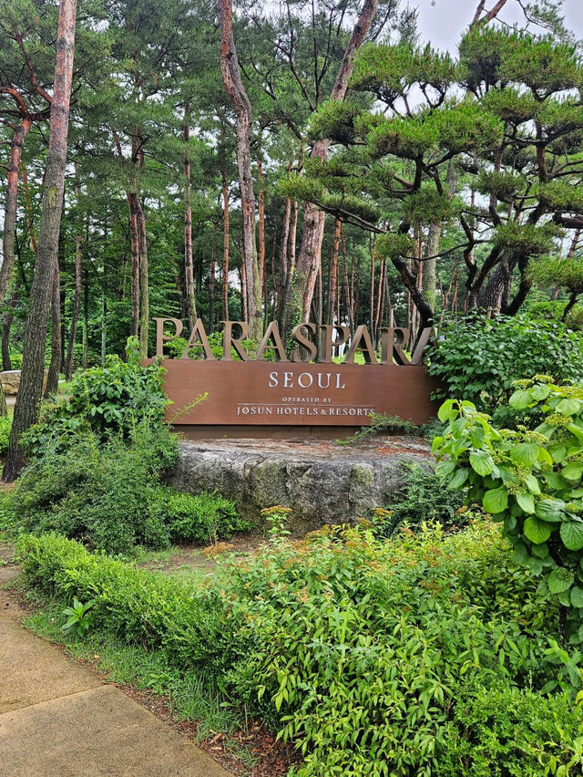 💕파라스파라 서울 호캉스 