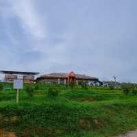 419 road hill trang