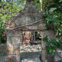 เดินลอดซุ้มประตูโพธิ์