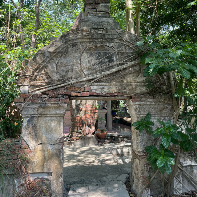 เดินลอดซุ้มประตูโพธิ์