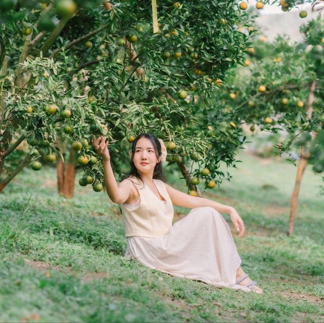 สวนของฉัน My garden 