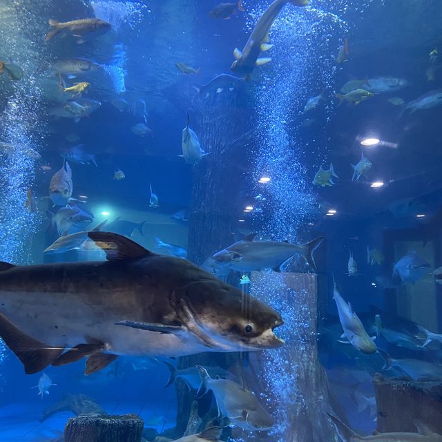 บึงฉวาก 🦈🐊🐟