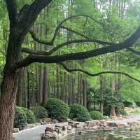 深圳中心公園：現代藝術、環保理念，多元化活動空間