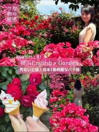〜神奈川県〜日本で1番綺麗なバラ園🌹English Garden横浜