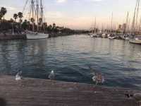 西班牙巴塞隆納-夕陽下漫步海上蘭布拉：Rambla de Mar