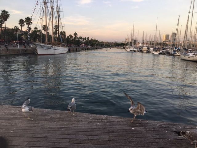西班牙巴塞隆納-夕陽下漫步海上蘭布拉：Rambla de Mar