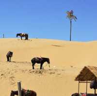 Wonderful Qinghai