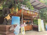 เที่ยวขอพรโชคลาภม่อนพญานาคราช เชียงใหม่ 