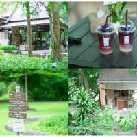 วนธารา คาเฟ่ริมน้ำ พิษณุโลก
