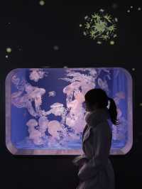 〜神奈川県〜デートはココで決まり！江ノ島水族館