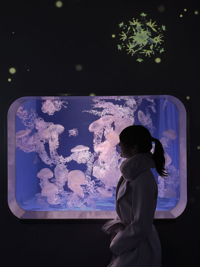 〜神奈川県〜デートはココで決まり！江ノ島水族館