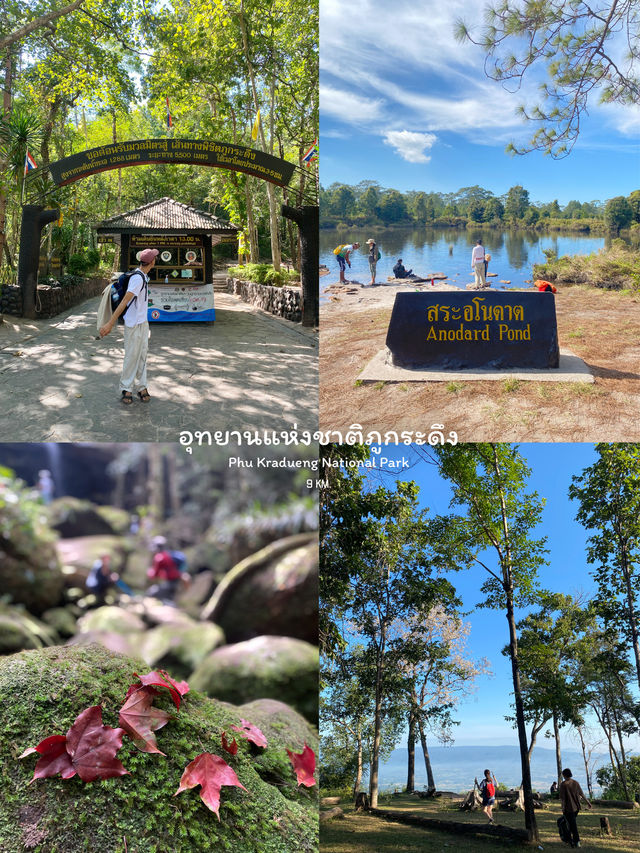 7 เส้นทางเดินป่าสำหรับมือใหม่ ⛰️🌦️🌳🥾