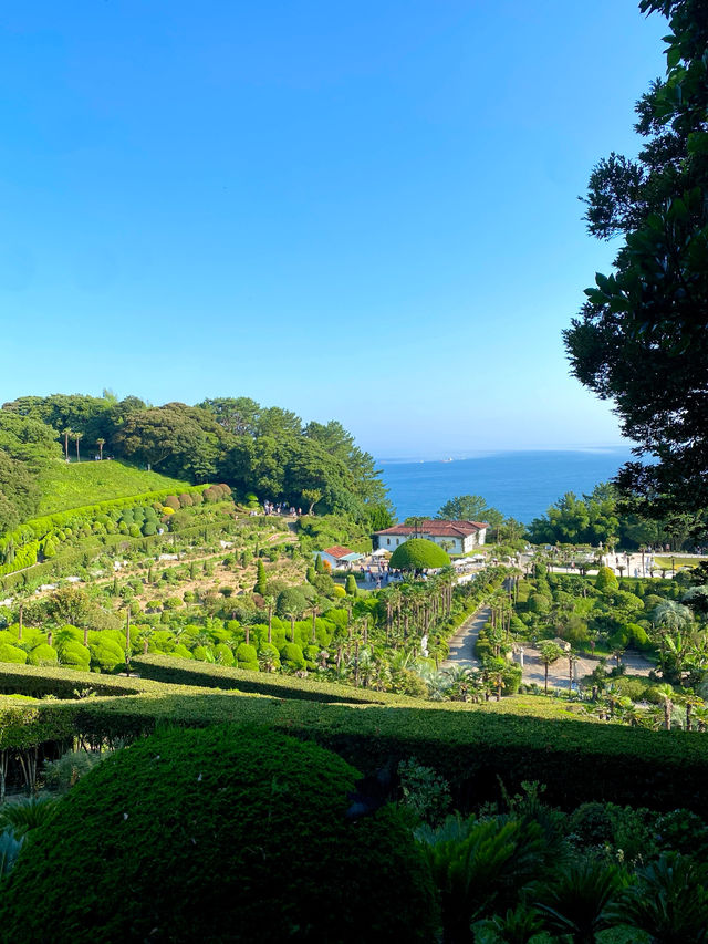 이국적인 분위기 가득🌳 거제도 대표 여행지 📍외도 보타니아