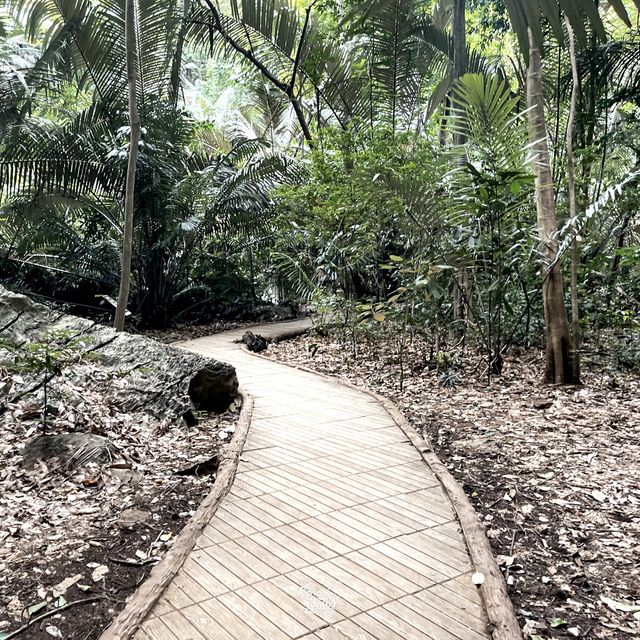 สถานที่สุด Unseen  “หุบป่าตาด” จ.อุทัยธานี