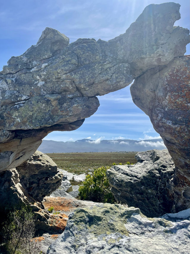 🥾 Hike the Trails of Cape of Good Hope National Park 🌍