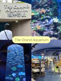 10 ไฮไลท์ในสวนสนุกระดับโลก Ocean Park HongKong 🎠