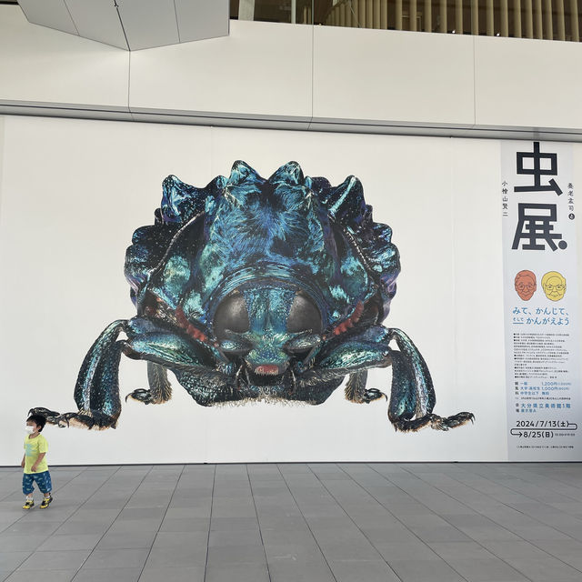 【大分】世界的な建築家 坂 茂 氏の設計による開放感溢れる美術館✨