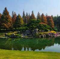 【彰化】成美文化園日式庭園，和諧寧靜，#8月好去處2024