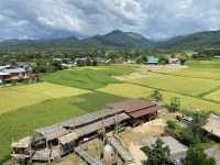 ที่สุดของ Road Trip กับถนนลอยฟ้า พลาดได้ไง 🧑‍🌾