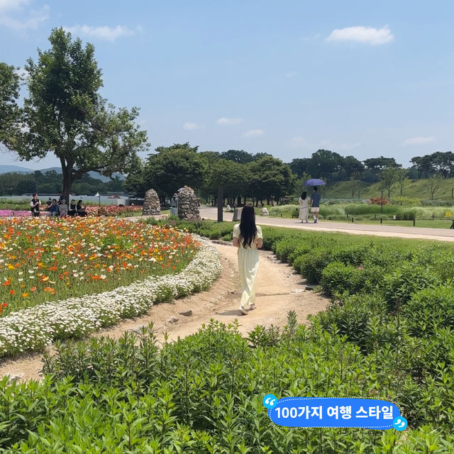 너무 예쁜 가족여행지로 추천드리는 첨성대 뒷편 꽃밭!‘ 