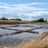 Oleron Island Tour